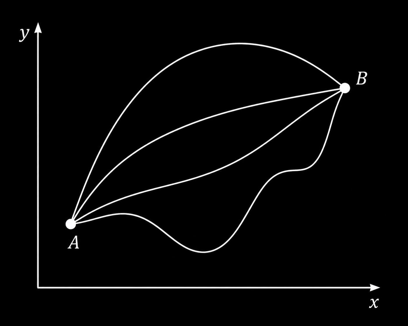A path described by a function y(x)